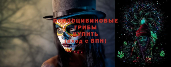 стаф Алзамай