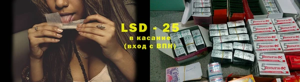 стаф Алзамай