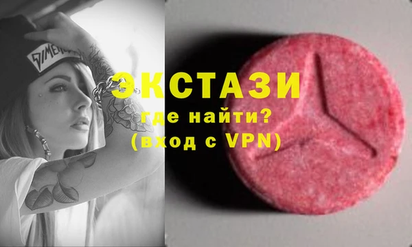 стаф Алзамай