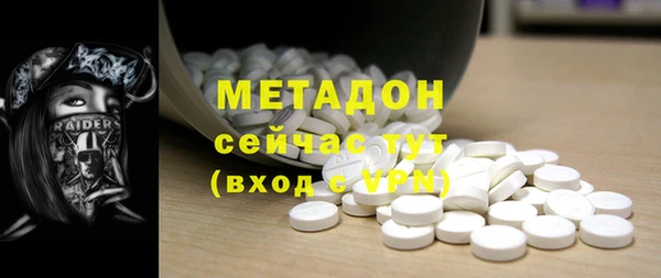 стаф Алзамай