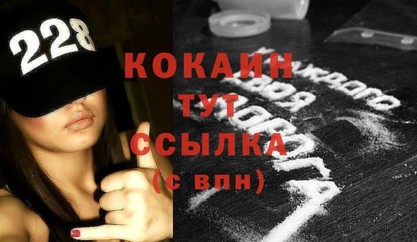 стаф Алзамай