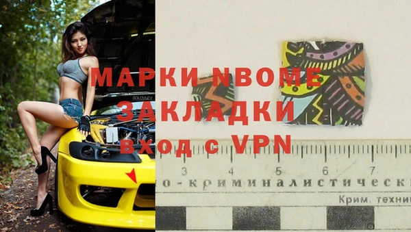 стаф Алзамай
