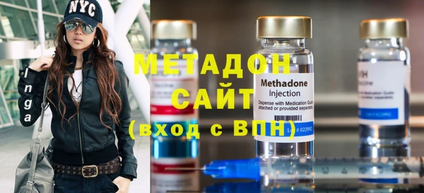 стаф Алзамай