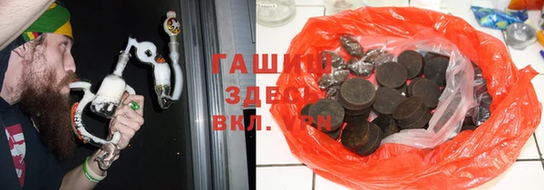 стаф Алзамай