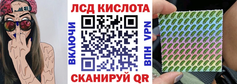 где можно купить   Петрозаводск  Марки N-bome 1,8мг 